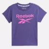 Kids’ ID Big Logo Tee