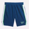 Kids’ WR Basketball Shorts