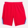 Kids’ WR Basketball Shorts