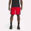 Men’s Basketball Mesh Shorts Men’s Basketball Mesh Shorts