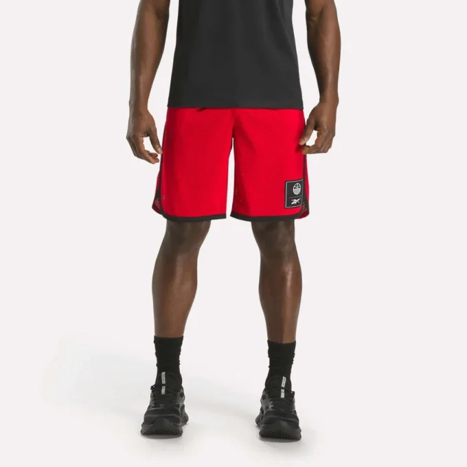 Men’s Basketball Mesh Shorts Men’s Basketball Mesh Shorts