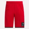 Men’s Basketball Mesh Shorts Men’s Basketball Mesh Shorts