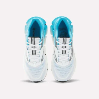 Men’s FloatZig 2 Running Shoes