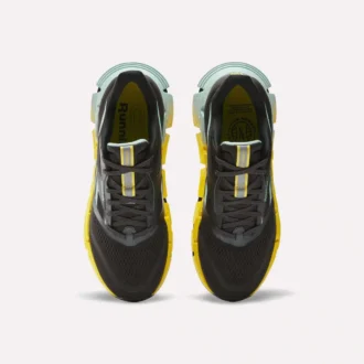 Men’s FloatZig 2 Running Shoes