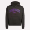 Men’s Varsity Hoodie