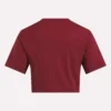 Women’s Two-Color Logo Crew Cropped Short Sleeve Tee